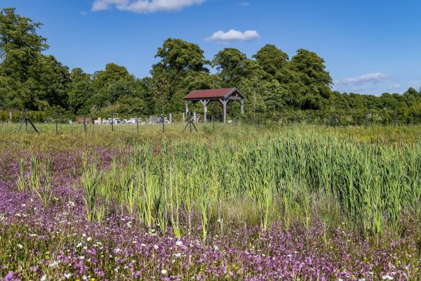 HurletFlora_03