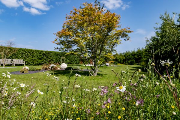 HurletFlora_14